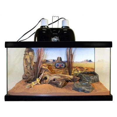 Zoo Med ReptiHabitat Leopard Gecko Tank Kit 10gal Zoo Med Laboratories CPD