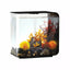 biOrb FLOW 30 Aquarium with Standard Light 8 gallon BiOrb