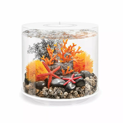 GSD Aquarium Colorful Coral Reef Set Fish Tank Decoration Mountain Ornament  for Aquarium Environments Decor Accessories, Coral Mountain x 1, Aquatic  Plant x 4 : : Pet Supplies