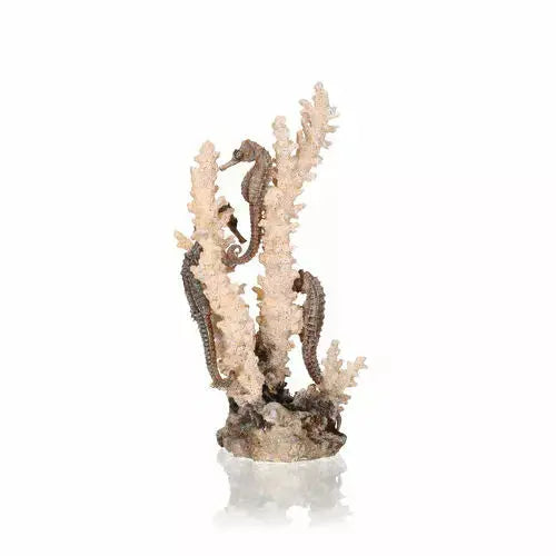 biOrb Seahorses on Coral Sculpture Aquarium Decor BiOrb