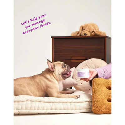 Bocce's Bakery Calming 60 Count Soft Chew Dog Supplements - Talis Us