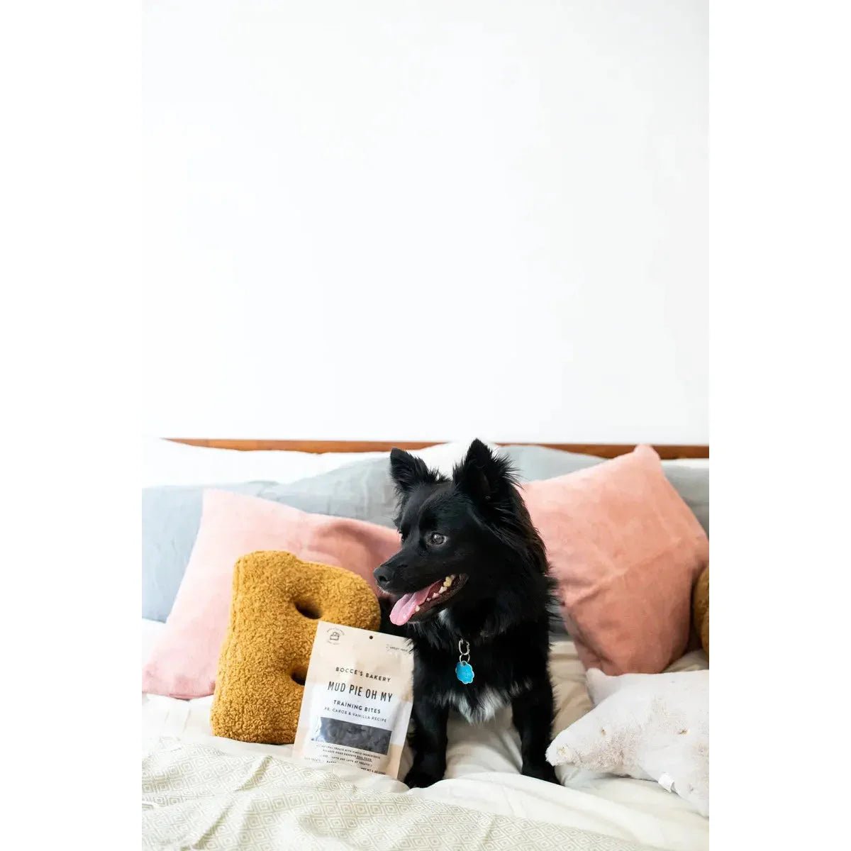 Bocce's Bakery Mud Pie Oh My 6oz Training Bites Dog Treats - Talis Us