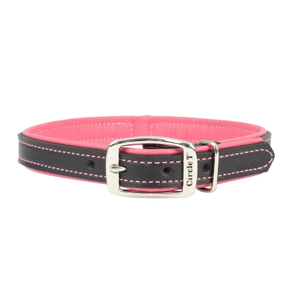 Circle T® Double - Ply Fashion Leather Collar - Talis Us