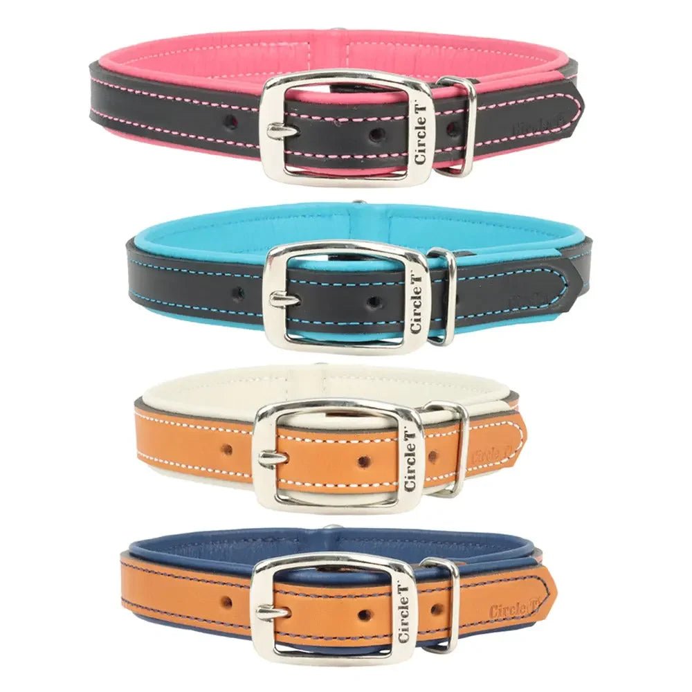 Circle T® Double - Ply Fashion Leather Collar - Talis Us