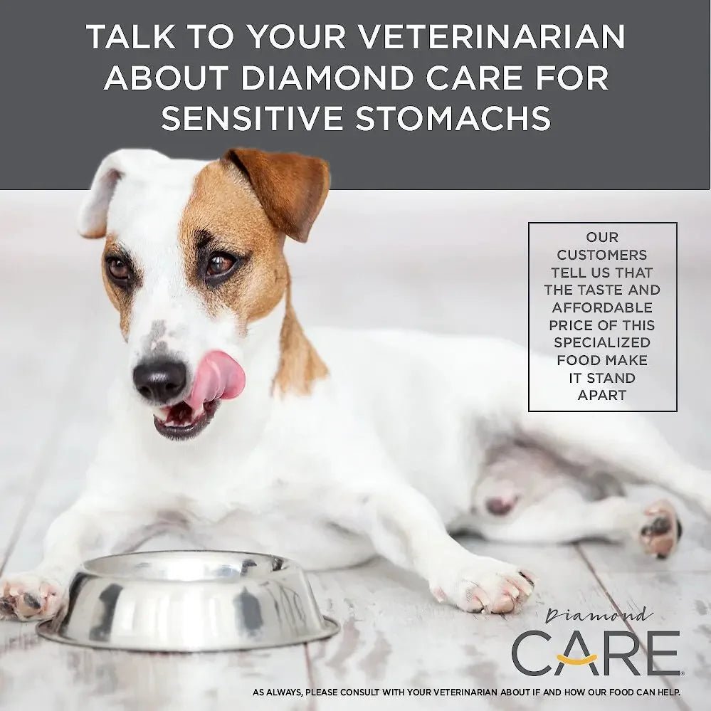 Diamond Care® Sensitive Stomach Formula Adult Dry Dog Food - Talis Us
