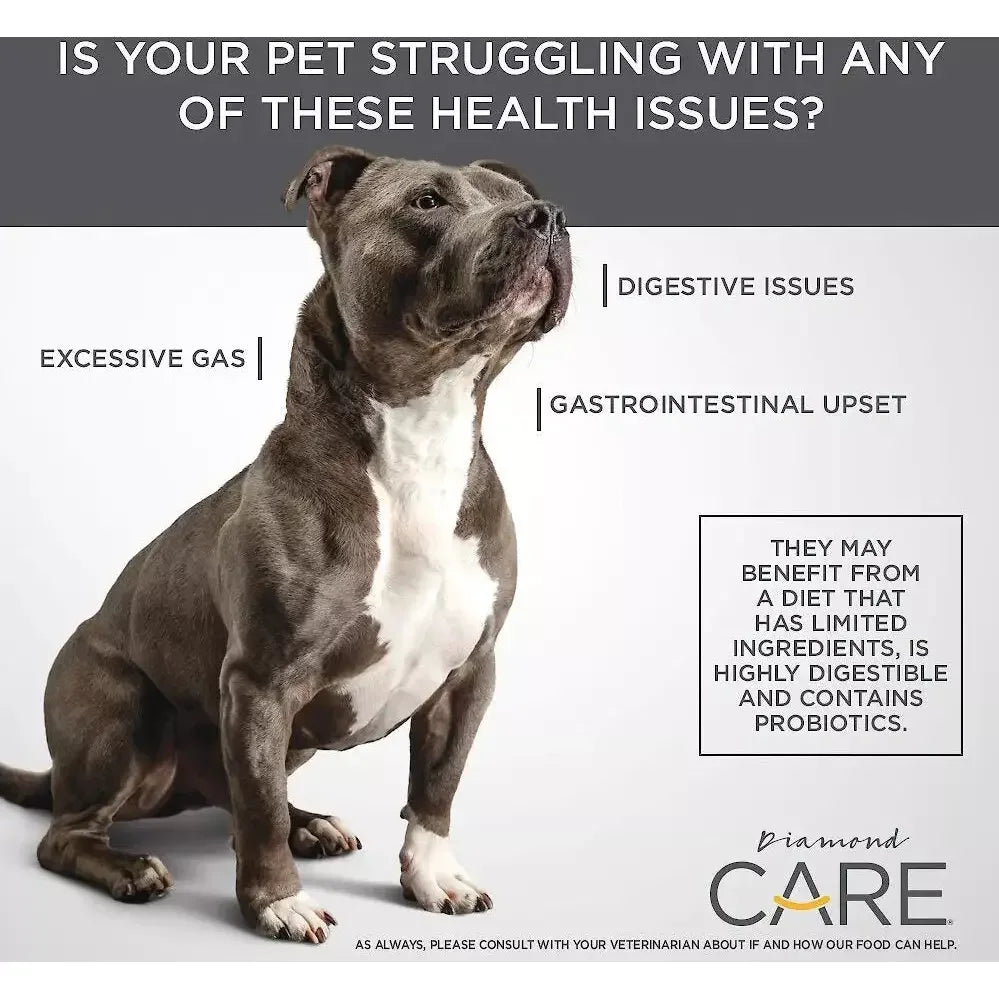 Diamond Care® Sensitive Stomach Formula Adult Dry Dog Food - Talis Us