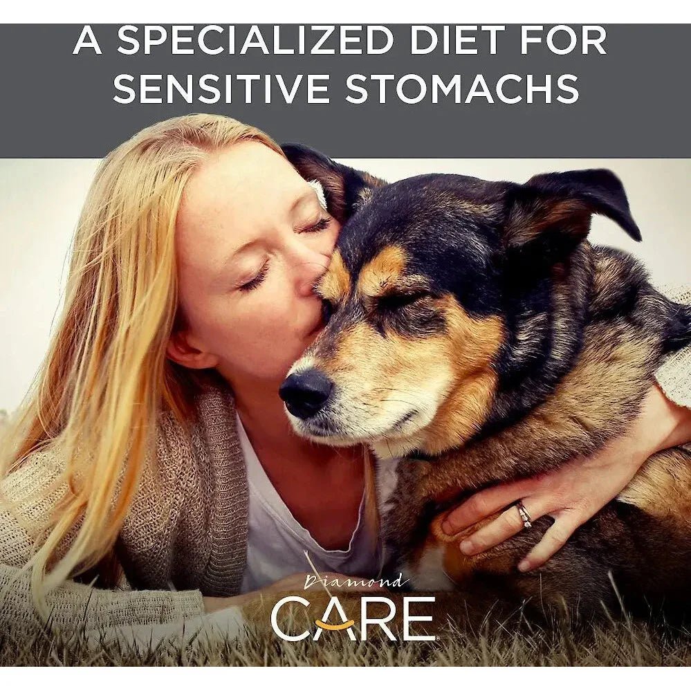 Diamond Care® Sensitive Stomach Formula Adult Dry Dog Food - Talis Us