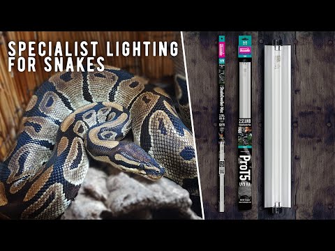 ShadeDweller-Max, At Long Last a UV-B Lamp Designed for Snakes!!