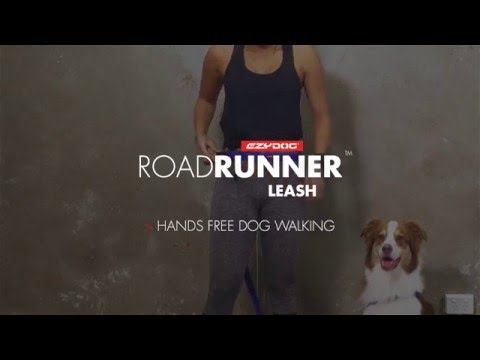 How to use a Hands-Free Dog Leash - EzyDog Road Runner Leash