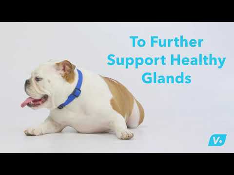 Glandex® Anal Gland Supplement & Wipes