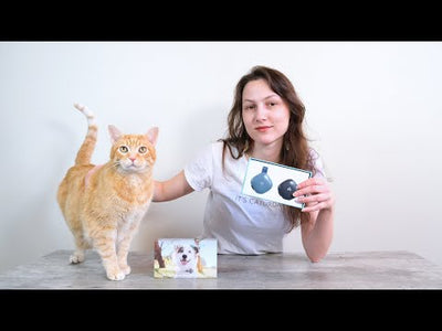 Cats and Dogs GPS Tracker and Smart Pet Finder GPS Collar Attachment