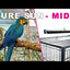 Arcadia Bird PureSun MIDI 2.4% UVB and 12% UVA Lighting Kit 22"