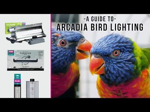 BEST UV Lighting For Pet Birds. Arcadia Bird
