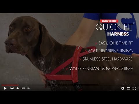 How to Fit Your Dog's Harness - EzyDog Quick-Fit Harness