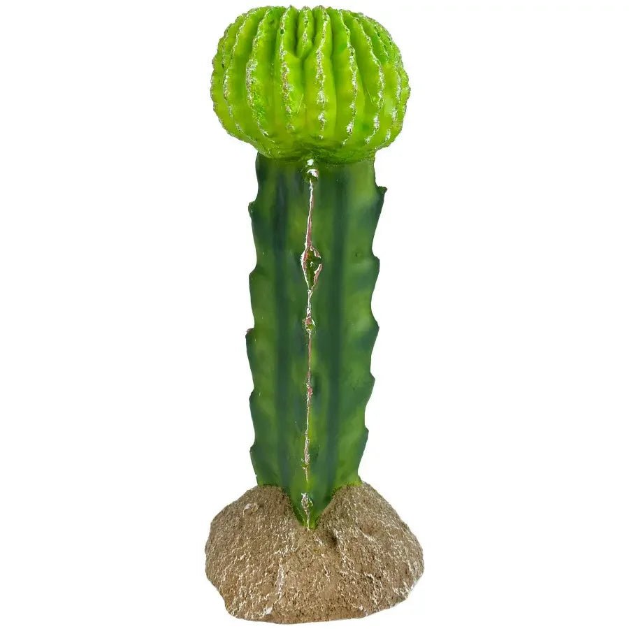 Komodo Reptile Terrarium Cactus Plant Ornament & Habitat Decoration - Talis Us