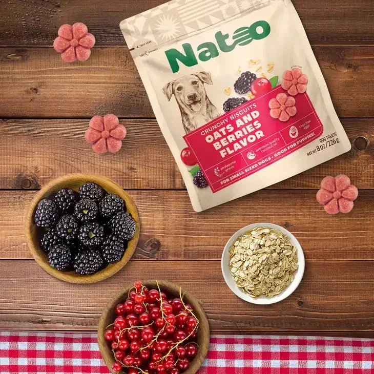 Natoo Biscuits Oats and Berries Flavor Dog Recipe 8 - oz - Talis Us