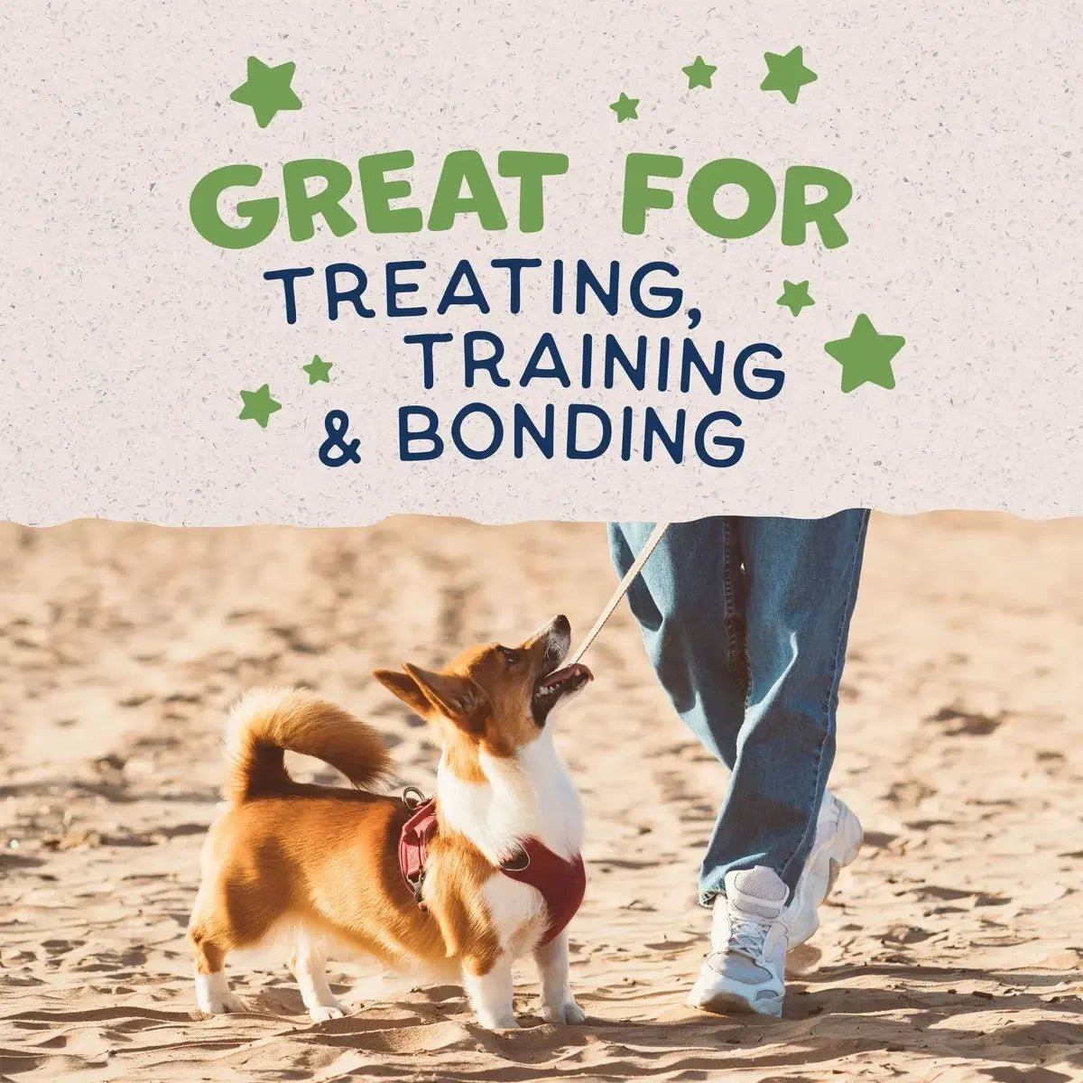 Natural Balance Pet Foods Rewards Crunchy Biscuits Dog Treats - Talis Us