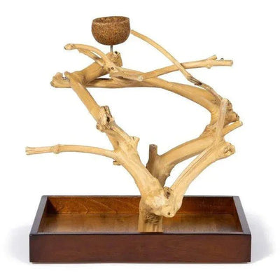 Prevue Pet Products Coffeawood Tree Mini Table Top Playstand - Talis Us