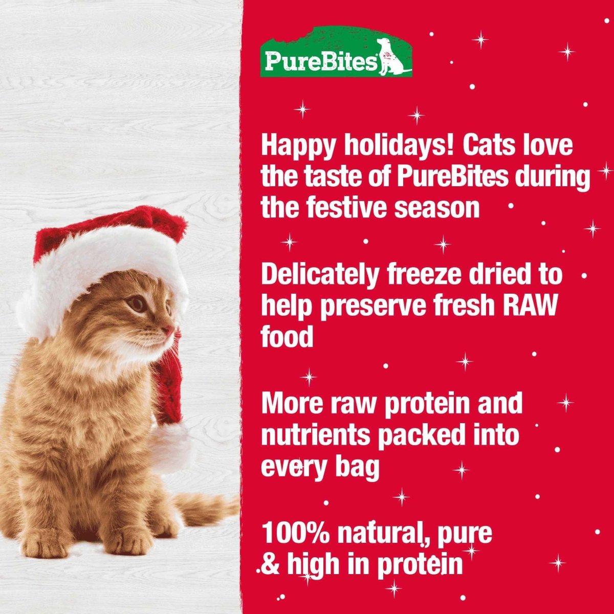 PureBites Holiday Turkey Cat Treats .81 oz - Talis Us