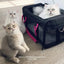 ROVERLUND Airline Compliant Pet Carrier, Travel Bag & Car Seat - Talis Us