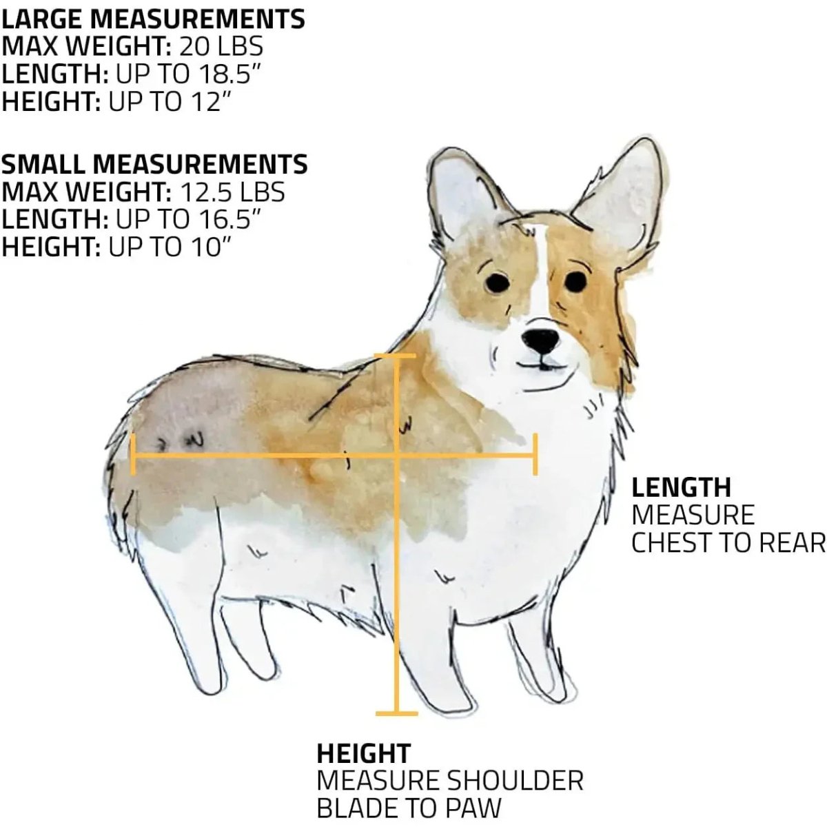 ROVERLUND Airline Compliant Pet Carrier, Travel Bag & Car Seat - Talis Us
