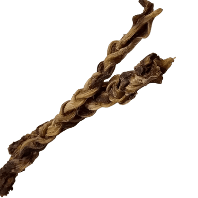 Savannah Chewy Ostrich Tendon Twister. Long - lasting, Natural Dog Chew Treat - Talis Us