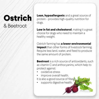 Savannah Pet Food Hypoallergenic Ostrich Chip Dog Treats with Immune Boosting Beetroot 2.5oz - Talis Us